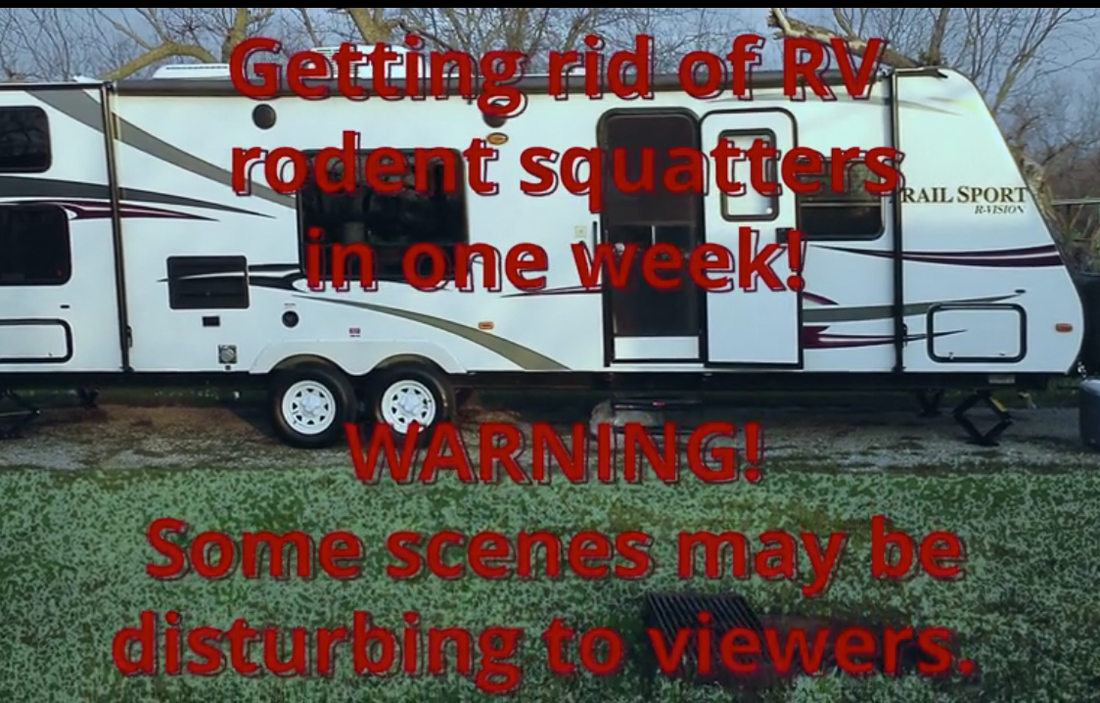 How my RV was saved from being overrun by rodents